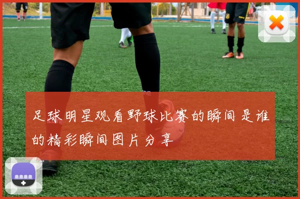 足球明星观看野球比赛的瞬间是谁的精彩瞬间图片分享