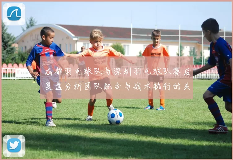 成都羽毛球队与深圳羽毛球队赛后复盘分析团队配合与战术执行的关键要素
