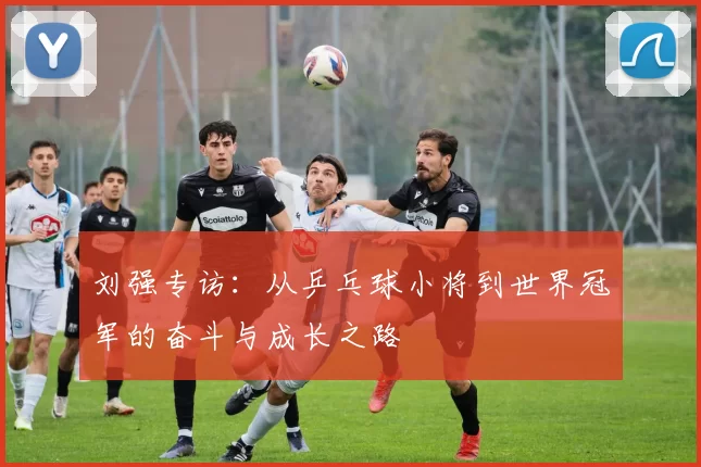 刘强专访：从乒乓球小将到世界冠军的奋斗与成长之路