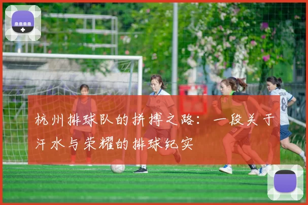 杭州排球队的拼搏之路：一段关于汗水与荣耀的排球纪实