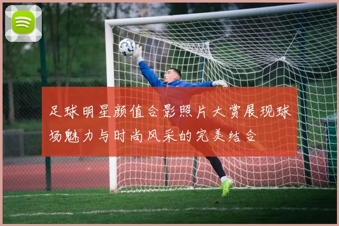 足球明星颜值合影照片大赏展现球场魅力与时尚风采的完美结合