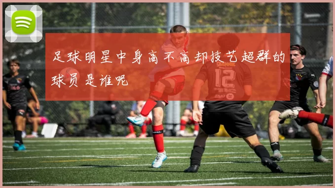 足球明星中身高不高却技艺超群的球员是谁呢