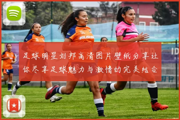 足球明星刘邦高清图片壁纸分享让你尽享足球魅力与激情的完美结合