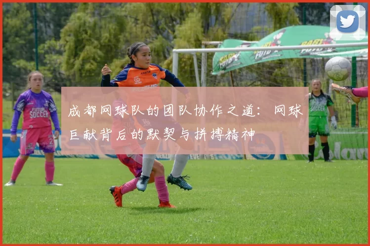 成都网球队的团队协作之道：网球巨献背后的默契与拼搏精神