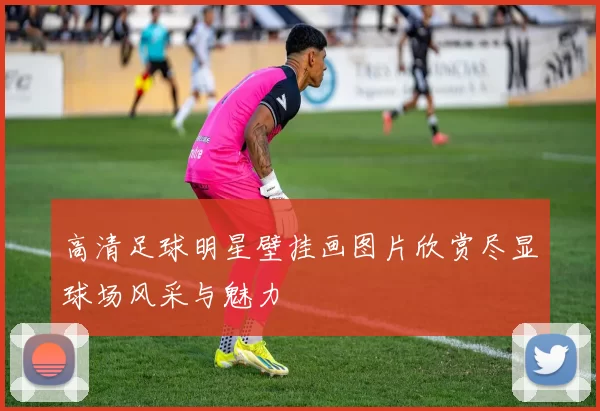 高清足球明星壁挂画图片欣赏尽显球场风采与魅力